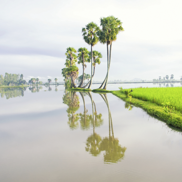 Mekong Delta Tour 8 Days